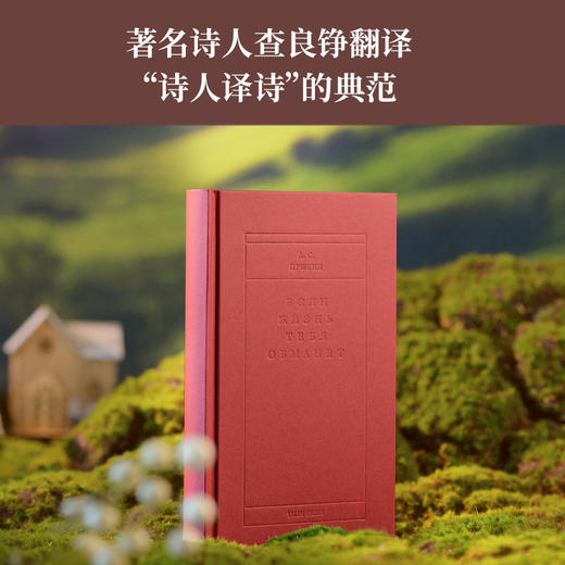 【原野诗丛】假如生活欺骗了你：普希金诗选 商品图1