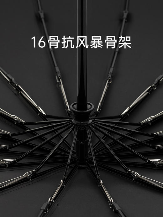 左都16骨全自动 原木手柄 商品图3