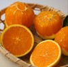 【严选】屈姑秭归现摘现发九月红脐橙带箱5斤/9斤彩箱装 （厂家直发） 商品缩略图3