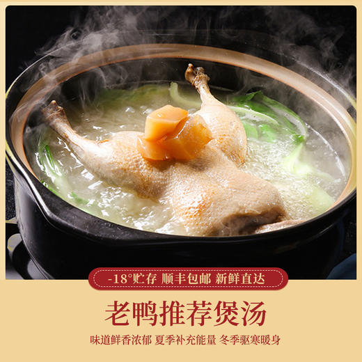 【巢湖仔麻鸭，好水出好鸭】农家散养鸭子仔，蛋鲜森巢湖仔麻鸭，肉质紧实鲜嫩美味，急冻锁鲜麻鸭啤酒鸭烤鸭新鲜鸭肉土鸭整鸭QQ 商品图7