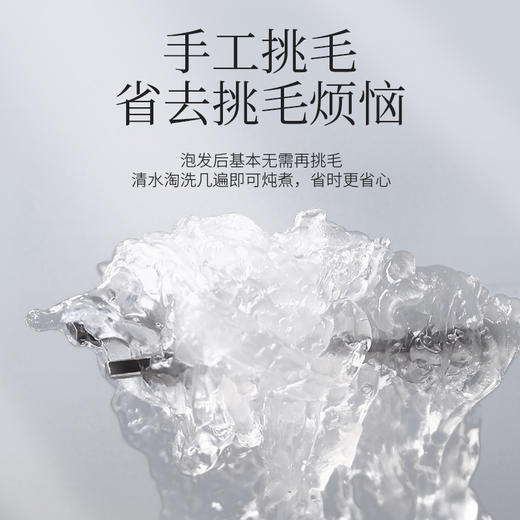 马来西亚进口溯源燕窝干盏礼盒（孕妇可吃） 商品图5