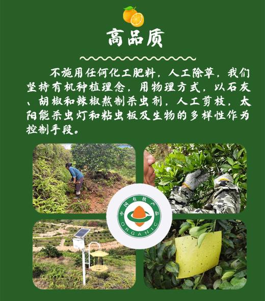 璞实®有机赣南脐橙5kg（含箱） 商品图8