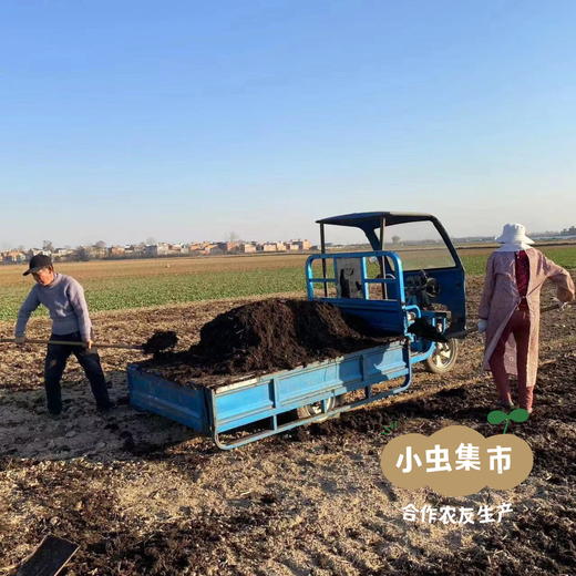 老品种生态牛奶芋头 5斤/箱 | 合作农友生产，产自河南洛阳，生产者：崔为敏 *【公平贸易农人定价】 商品图12