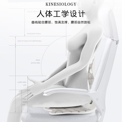 心选丨【思菲其护腰坐垫，升级四代】人体工学椅护腰坐垫，办公室久坐神器 商品图3