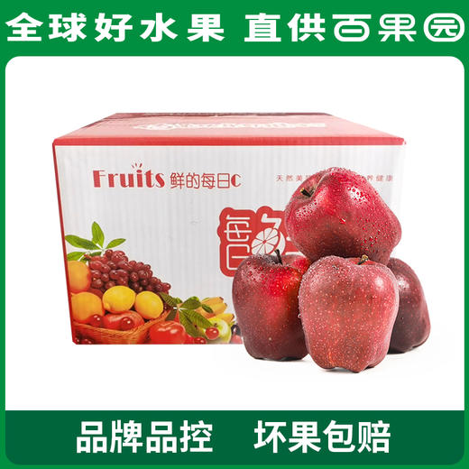 PAGODA百果园 花牛苹果8.5斤彩箱装（单果径80mm+） 商品图4