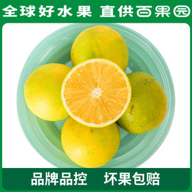 PAGODA百果园 招牌-橙以橙（小）10斤礼盒装