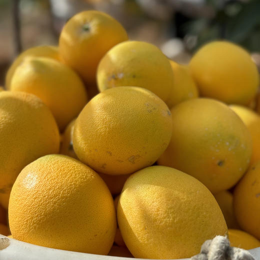 【现摘现发】正宗江西赣南脐橙 九省包邮 商品图7