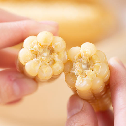 云南【拇指玉米】醇香Q糯 粒粒饱满 个头迷你 非转基因 0添加！ 商品图1