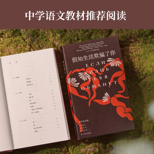 【原野诗丛】假如生活欺骗了你：普希金诗选 商品图2