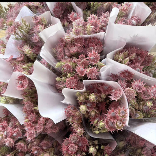 国产新娘.粉色 商品图3