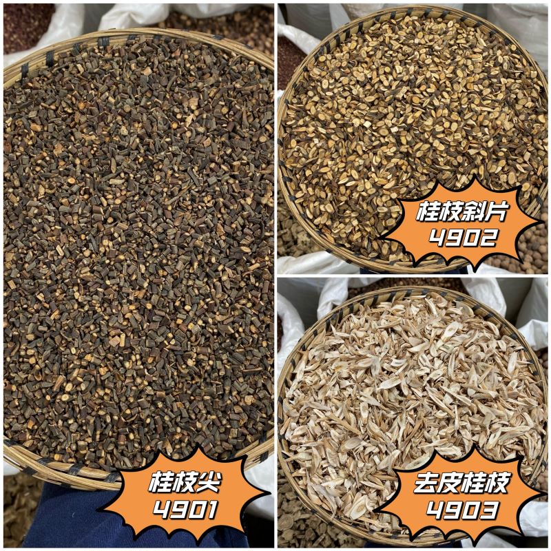 桂枝 各种规格  桂枝尖  去皮桂枝