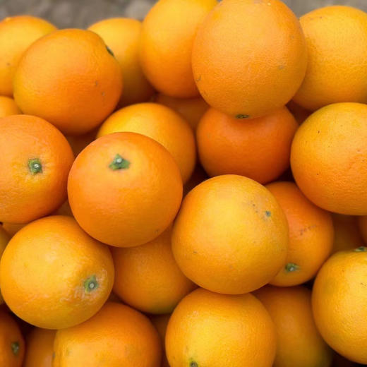 【现摘现发】正宗江西赣南脐橙 九省包邮 商品图6