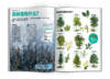 奇想岛杂志，2025年1月-2025年12月，每月3本，全年36本。 商品缩略图4