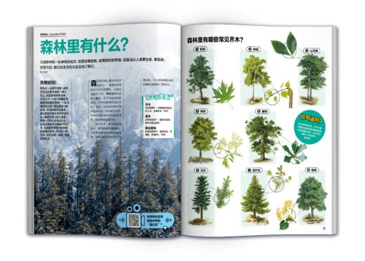 奇想岛杂志，2025年1月-2025年12月，每月3本，全年36本。 商品图4