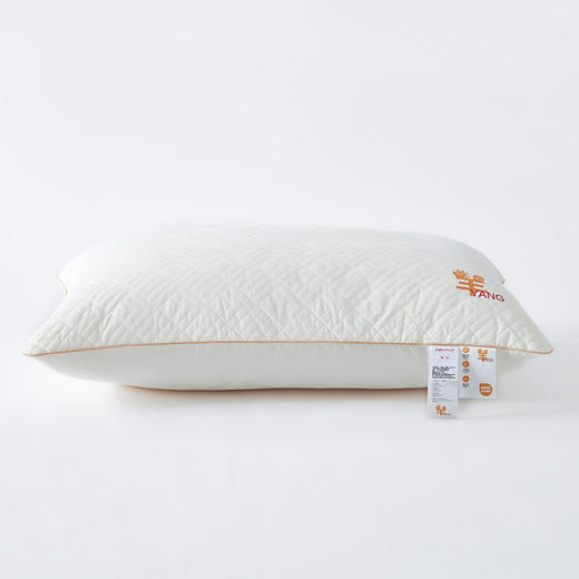 恒源祥Fazeya彩羊A类全棉抑菌水洗枕（数量1个，规格：48*74cm）【分仓直发，72小时发货，周末节假日不发货】 商品图1