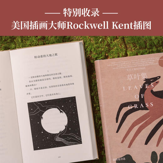 【原野诗丛】草叶集:惠特曼诗选(精装) 商品图3