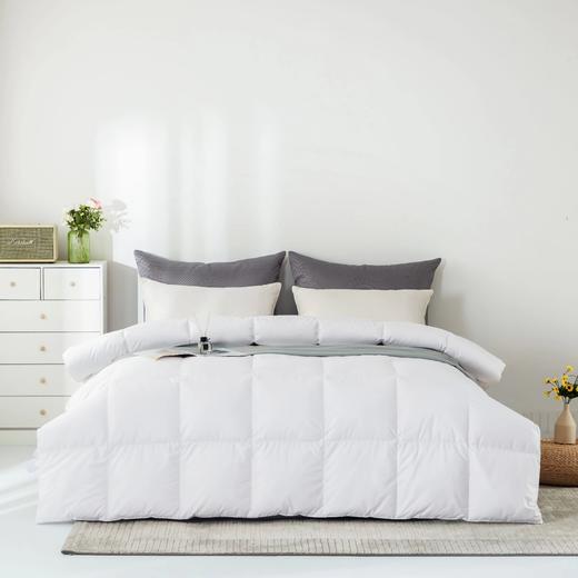 【95白鹅绒，1300克高填充】白鹅绒羽绒被 商品图5