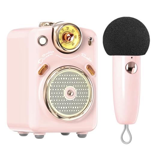 Divoom点音小魔女蓝牙音箱收音机麦克风k歌音响唱歌话筒女生礼物 商品图1