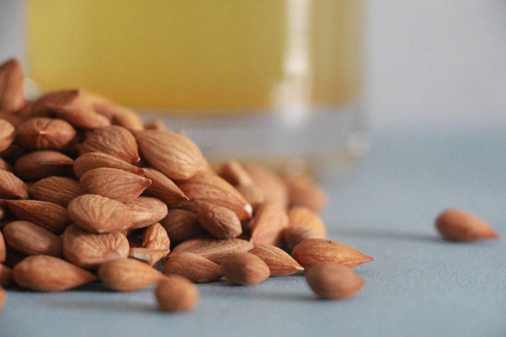 遇夏家的甜杏仁