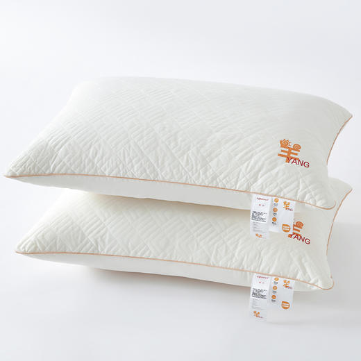 恒源祥Fazeya彩羊A类全棉抑菌水洗枕（数量1个，规格：48*74cm）【分仓直发，72小时发货，周末节假日不发货】 商品图2