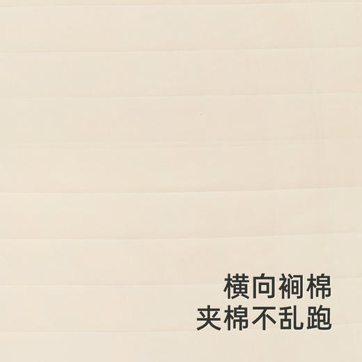 【商场同款】英氏儿童被套大豆棉抑菌纯棉被套四季大尺寸2025新款 商品图1
