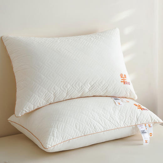 恒源祥Fazeya彩羊A类全棉抑菌水洗枕（数量1个，规格：48*74cm）【分仓直发，72小时发货，周末节假日不发货】 商品图0