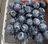 秘鲁小树苗蓝莓（125g) 商品缩略图0