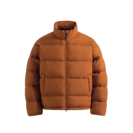 Evistub/E-4QWT557/隐藏帽立领加厚棉服 商品图4