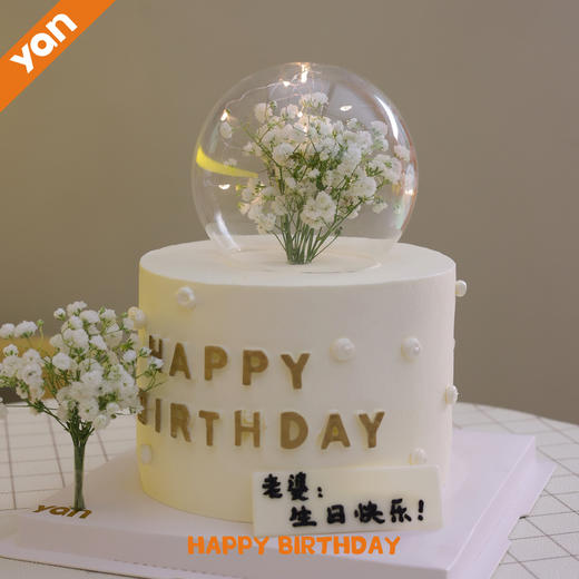 梦幻白满天星-加高 商品图0