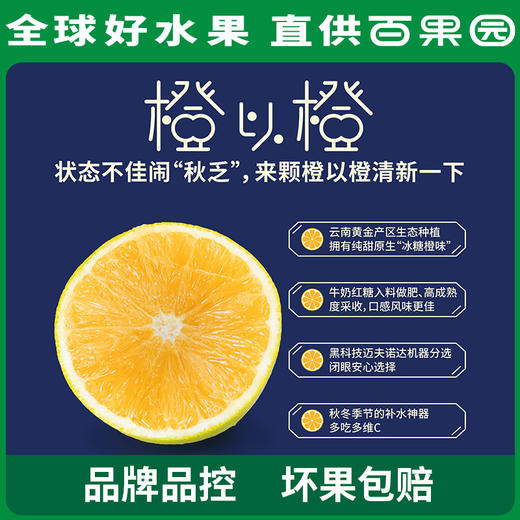 PAGODA百果园 招牌-橙以橙（大）10斤礼盒装 商品图2