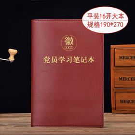 金懿 党员学习笔记皮面本 约50g/本