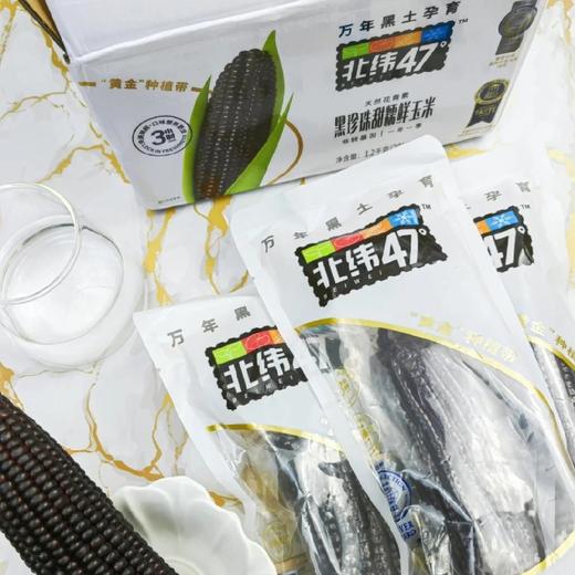 北纬黑珍珠甜糯玉米 商品图0