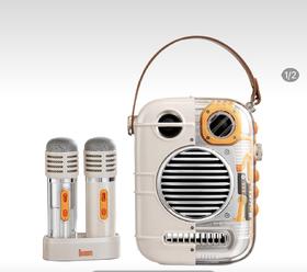 Divoom点音东方玲珑pro双麦K歌音响家用客厅家庭ktv唱歌音箱话筒一体双麦克风送女士