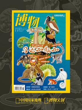 欢迎来到马达加斯加！