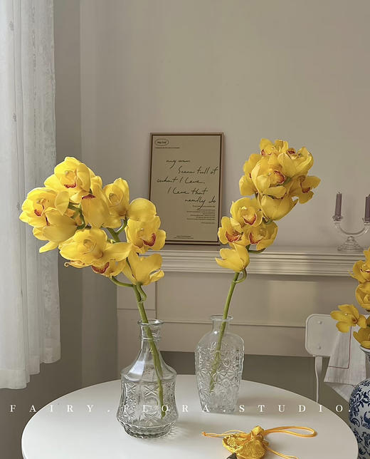 【国产蕙兰】岁月（黄色）单枝 商品图0