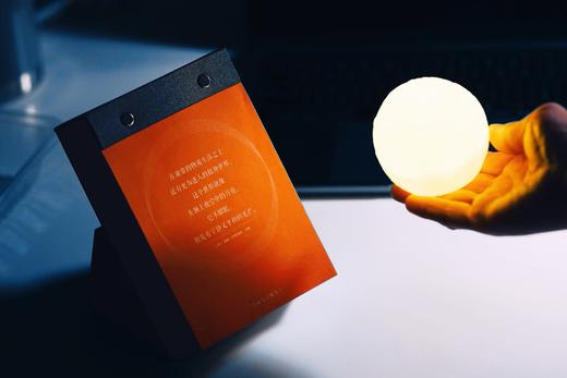 法律人专属丨麦读日历 2025 商品图12