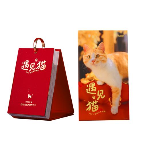 【2025日历】《遇见猫·2025猫日历》 商品图5