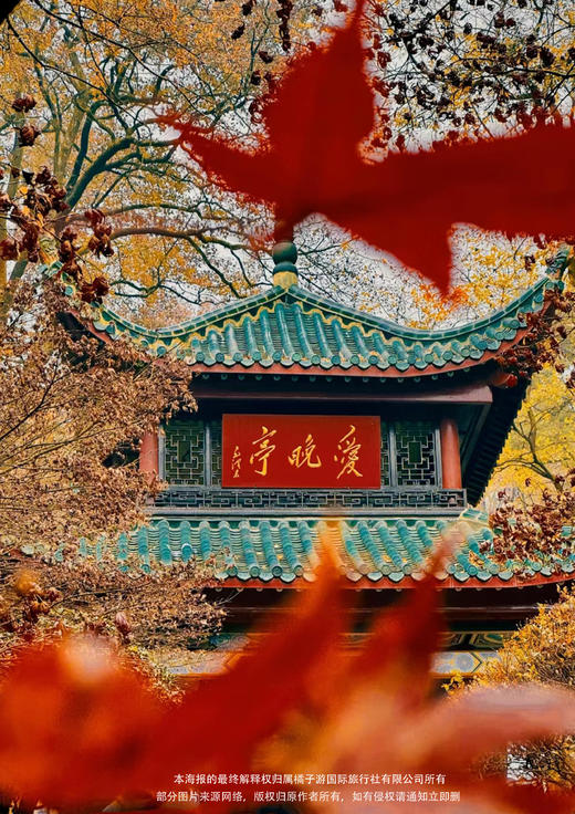 【长沙city walk】网红打卡三日游 商品图1