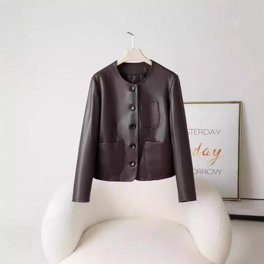 丁摩 海宁休闲真皮皮衣女短夹克山羊皮圆领外套x852 商品图0