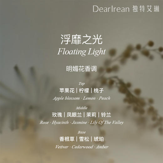 【独特艾琳】香氛护发精油 柔顺烫染丝滑护发精华油（按压款） 商品图4