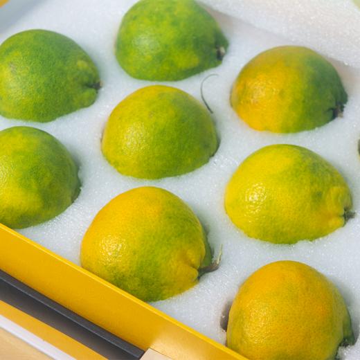 象山红美人10粒装2.5kg 商品图3