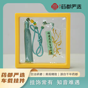 【药都严选】文创车挂