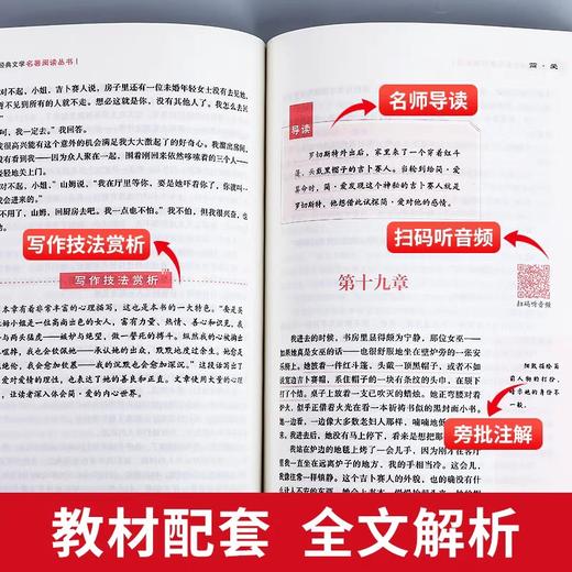 简爱书籍正版原著和儒林外史九年级必读课外阅读书籍经典名著白话文版初三下册教材配套同步阅读文学完整版无删减非人民教育出版社 商品图3