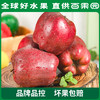 PAGODA百果园 花牛苹果3斤家庭装（单果径75mm+） 商品缩略图3