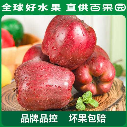 PAGODA百果园 花牛苹果3斤家庭装（单果径75mm+） 商品图3