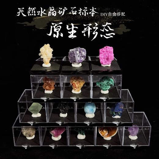 地球宝藏系列 商品图5