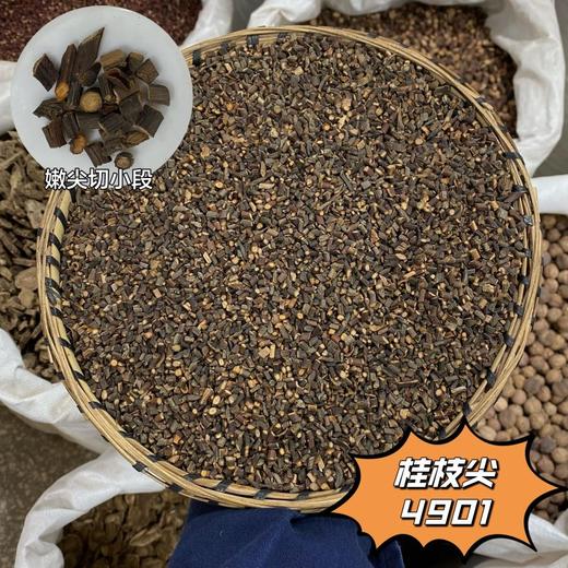 桂枝 各种规格  桂枝尖  去皮桂枝 商品图1