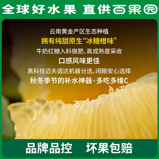 PAGODA百果园 招牌-橙以橙（大）10斤礼盒装 商品图1