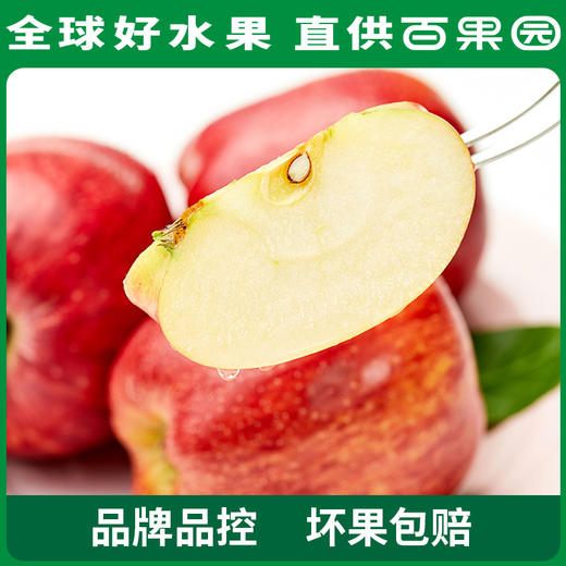 PAGODA百果园 花牛苹果3斤家庭装（单果径75mm+） 商品图1