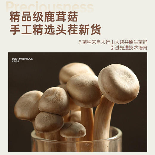 非膨化食品【健康酥脆！鹿茸菇脆】甄选品质原料制作，手工精选头茬鹿茸菇新货，VF工艺锁住新鲜营养，口口满足，拒绝高温油炸，下午茶宵夜休闲小吃L 商品图2
